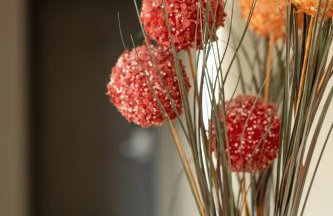 Golden Rooms - Foto 27