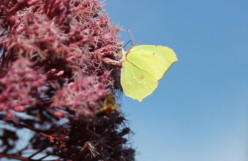 Apartment Appartement mit Wallbox by Interhome - Foto 42