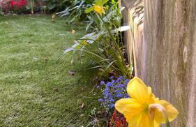 Garden Suite - Foto 15