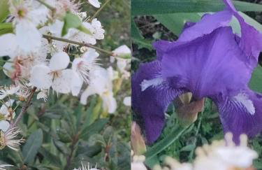 Lovely Place - Foto 29