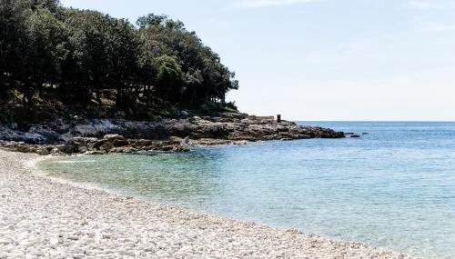 Villa ARTE-ŠHAM - Foto 2