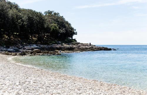 Villa ARTE-ŠHAM - Foto 2