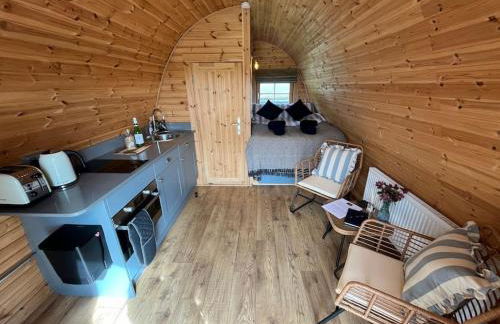 The Pod Patch - Trelerney Pod - Foto 9