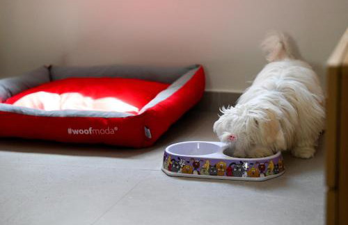 Eumorphia Studios & Apartments - Foto 27