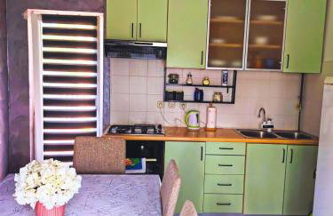 Skitnica Life - Photo 6