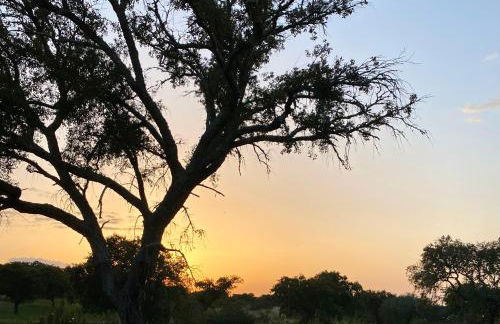 Casas do Apeadeiro de Evoramonte - Foto 32