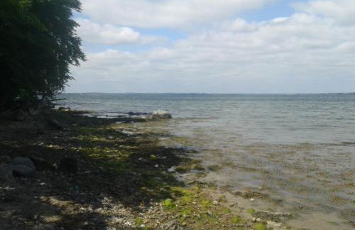 Ostsee Reetkate - Foto 74