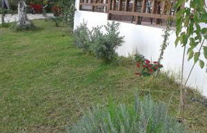 To Stolidi tis Psinthou - Foto 18