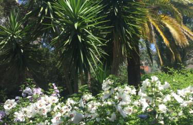 Tu Casa parking fibre optique Netflix - Foto 19