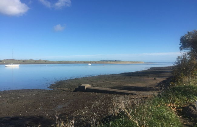 The Lodge - Photo 39