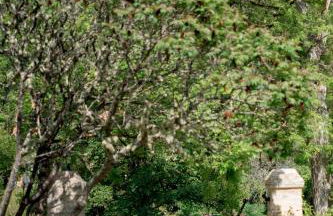 Château Forge du Roy - Foto 25