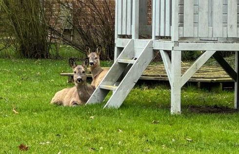 "Landhaus Voss" Typ 3 Nr9 - Foto 15