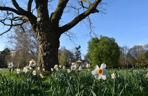 Sleep & Go Stadt-Appartement - Photo 24