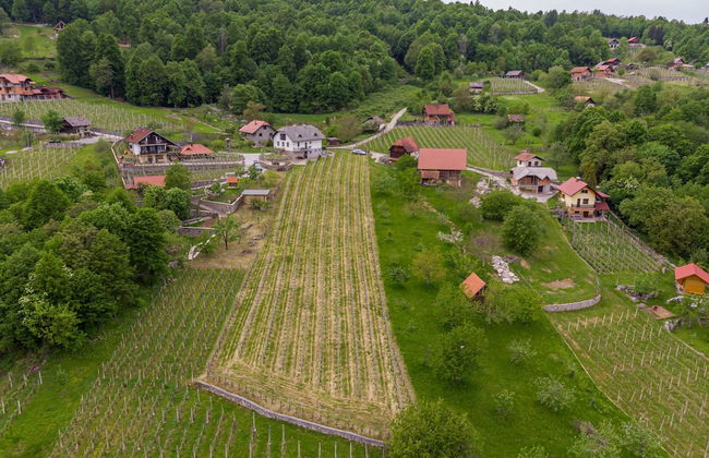 Vineyard Homestead Vrtin - Foto 42