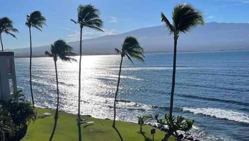 This place is different!! Award winning! Oceanfront, View View! - Foto 4