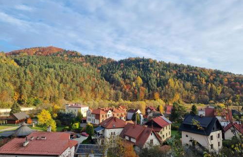 Apartamenty Piwniczna-Zdrój Rynek - Foto 32
