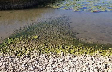 CHALET-MICHEL avec SPA - Foto 17