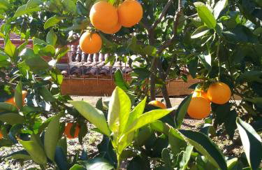 Tangerine Apartment - Foto 16