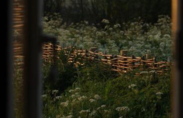 Barnham Court Farm - Photo 19