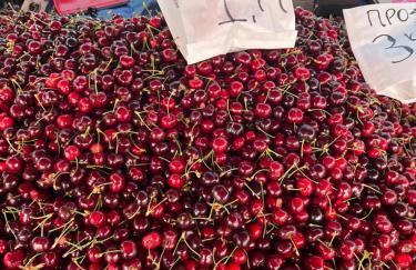 Levanta Apartment - Foto 35