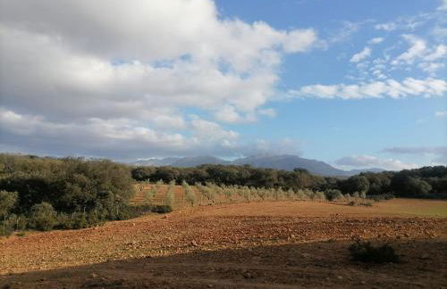 Cortijo El Contarín - Amplia casa rural con piscina privada y chimenea cerca de Archidona, Málaga - Foto 45