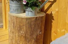 Bayerwaldtiny - Foto 38