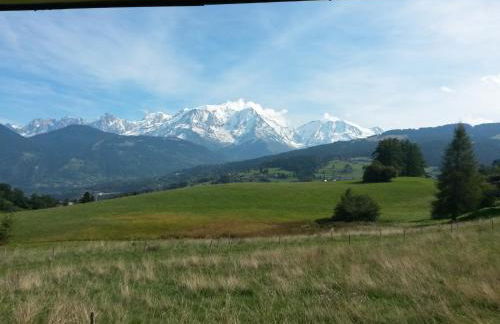 Rez de chaussée très calme vue Mont-Blanc - Foto 8