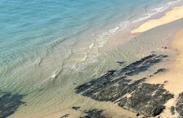 Les Sternes - Foto 56