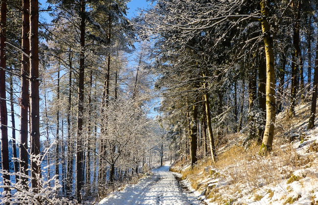 The Five Turrets: Stay in Scotland in Style in a Historic Four-bed Holiday Home - Foto 54