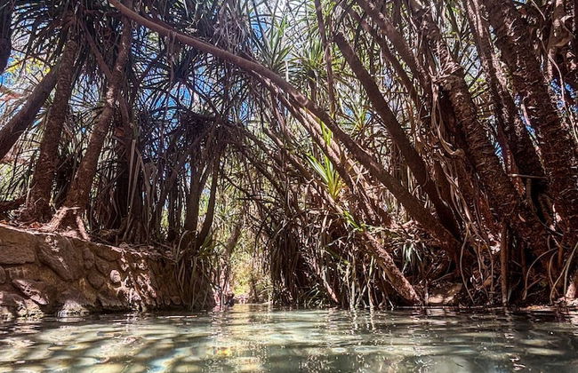 BIG4 Breeze Holiday Parks - Katherine - Foto 64