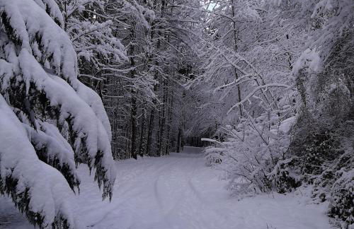 Apartamento Canfranc - Foto 62