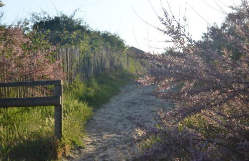 La villa dans les pins - Photo 16