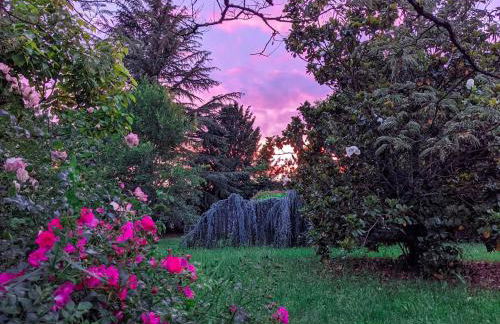 Gîte Le Grand Albizia - Foto 24