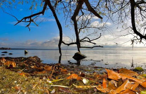 Elegantes & modernes Apartment NeLi mit Terrasse, 100m zum Hafen Röbel Müritz - Foto 23