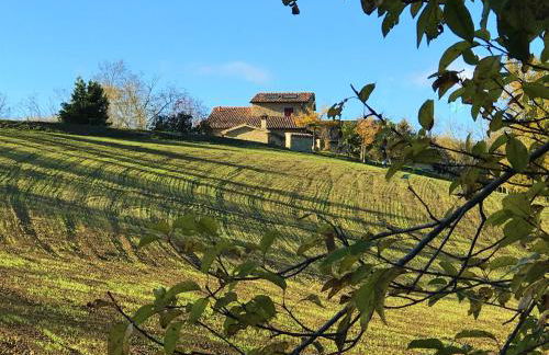 Casalino di Sopra - Foto 17