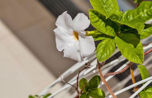 Abitare in Vacanza - Foto 65