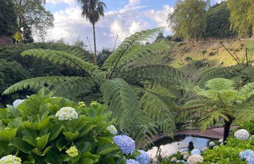 Casa Amélia - Photo 36