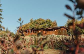 Alojamiento Turístico La alegría de la huerta - Foto 18