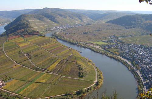 Moselblick - Foto 26