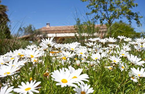 Agroturismo Mondrago -Antic Na Martina- - Foto 73