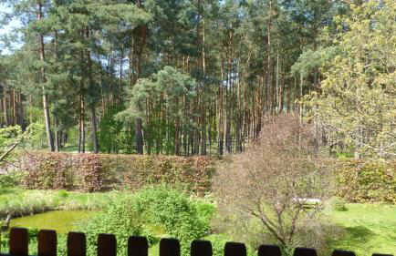 Amselgarten - Foto 50