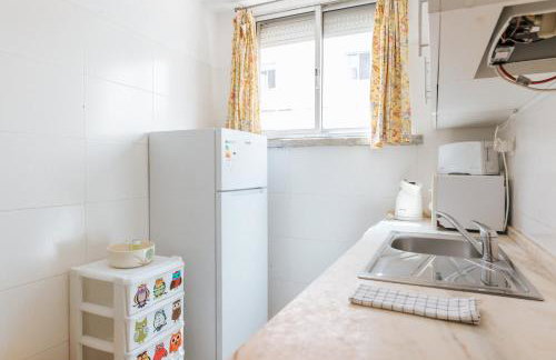 Lisbon Tagus River Terrace Flat - Photo 20