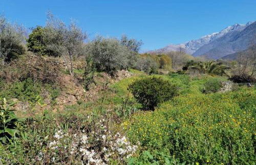 Casa Rural: La Casa Mágica de Gredos - Foto 26