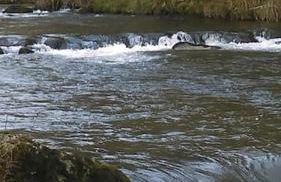 Stunning 3 Bed Riverside Cabin in Snowdonia - Photo 28