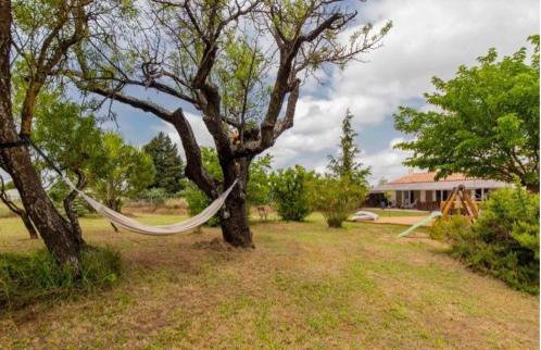 Gîte en Provence entre Pernes les fontaines et St Didier proche l'isle sur sorgues face Mont Ventoux Villa avec piscine - Photo 11