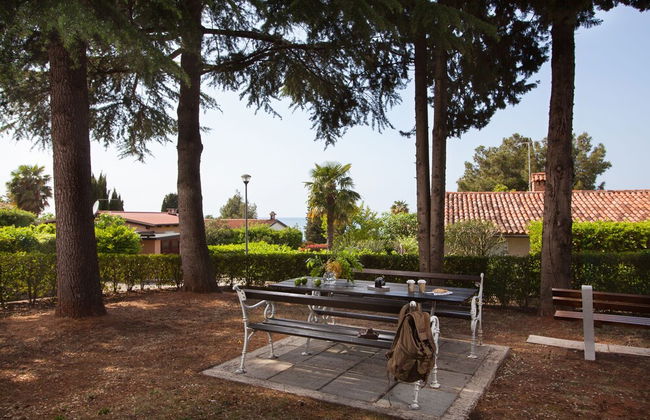 Daila Apartments - Foto 16