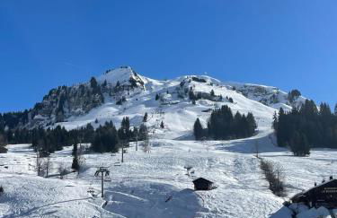 Appartement au Chinaillon 1350 - vue panoramique sur les montagne, -10' des pistes - Foto 25
