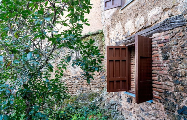 El Zarzo de Nemesio - Foto 30