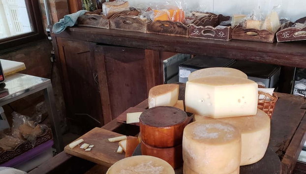 Excursão a Monte Sião, Serra Negra, Amparo e Pedreira - Foto 3, Fazenda de queijo