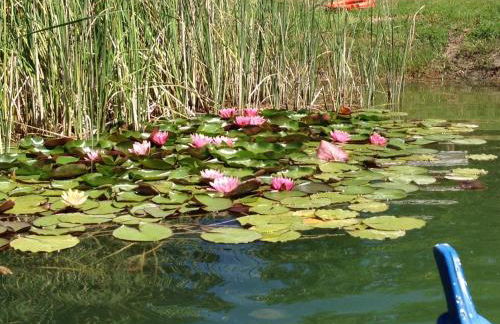 Casa Boschetto - Foto 49